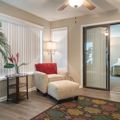 a room with a chair and a plant